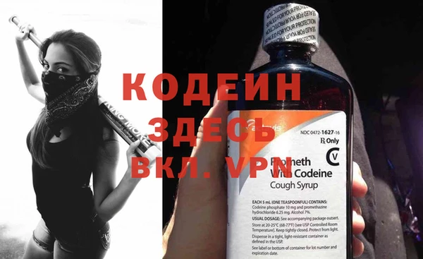 шишки Елизово
