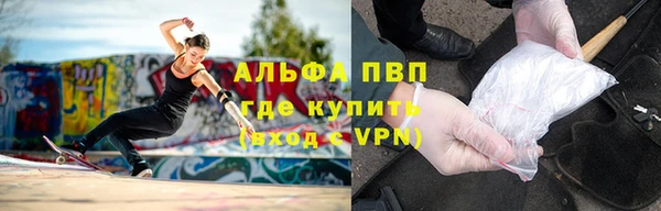 шишки Елизово