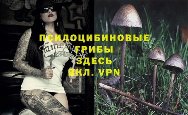 стафф Елабуга