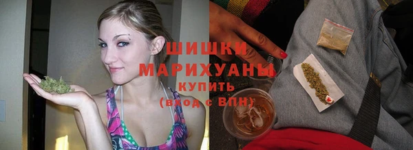 шишки Елизово