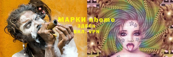 шишки Елизово