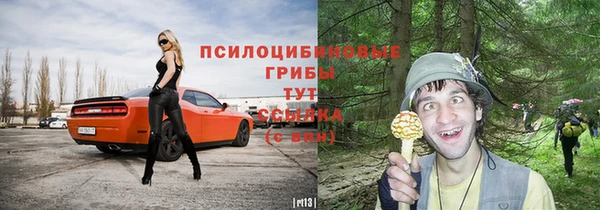 шишки Елизово