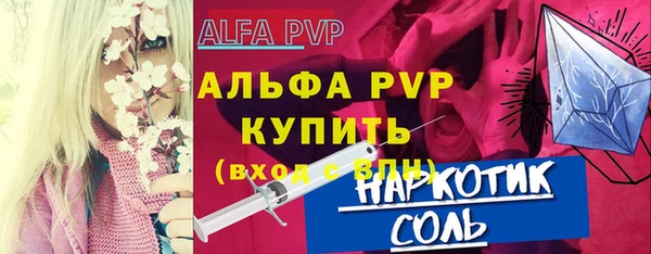 шишки Елизово